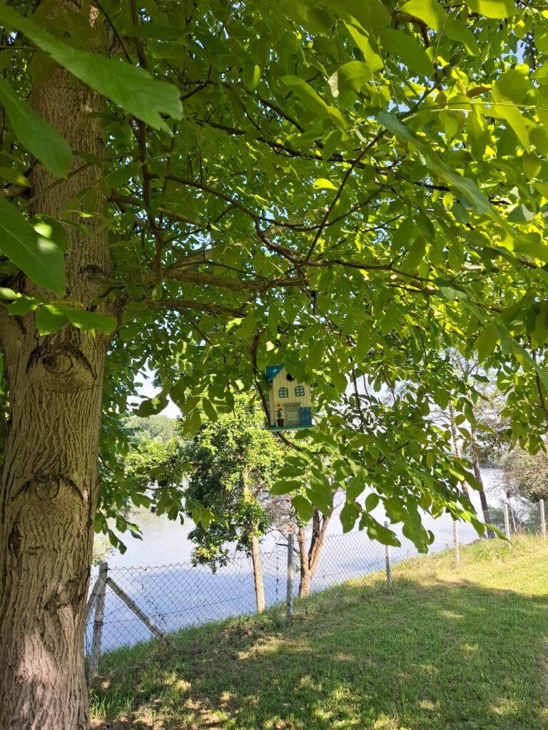 20260525_093531